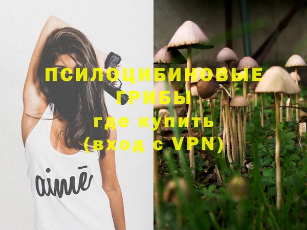 экстази Алексеевка