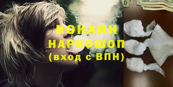 стафф Алзамай