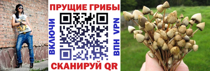 Галлюциногенные грибы MAGIC MUSHROOMS  Чусовой 